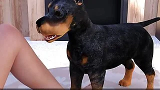 xnxx 106